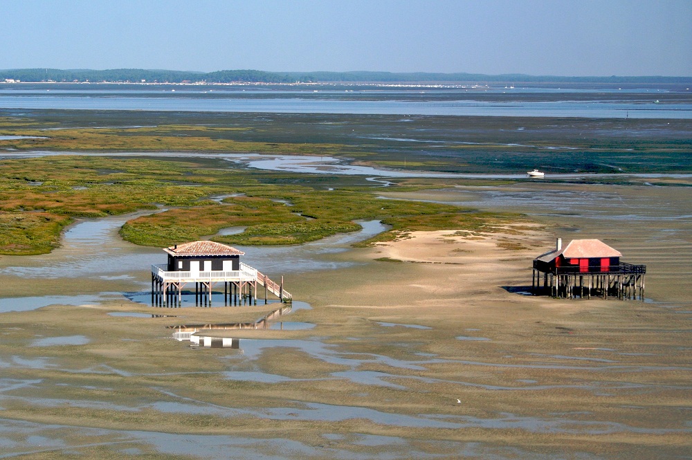 Venez admirer l’île aux oiseaux