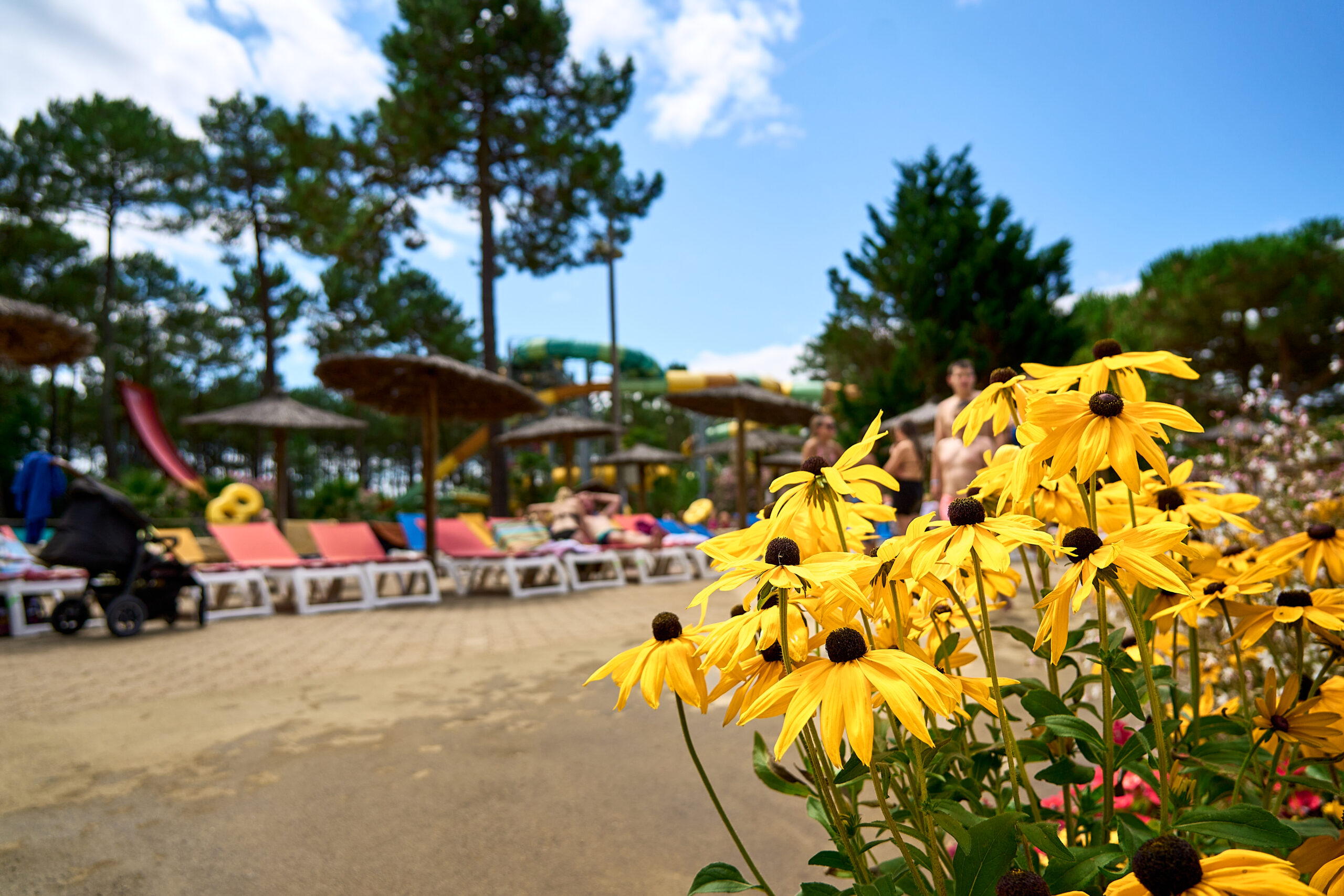 AQUALAND_ARCACHON_0485_HD