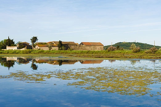 Faire du tourisme vert au Cap d’Agde