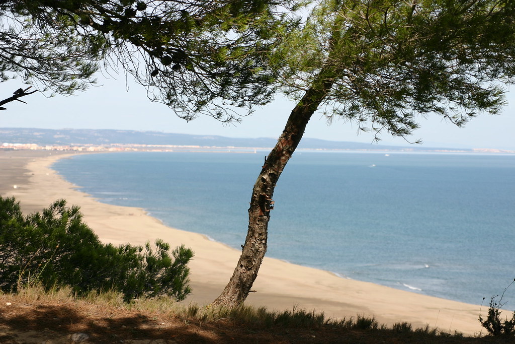 Profitez des plages de Leucate