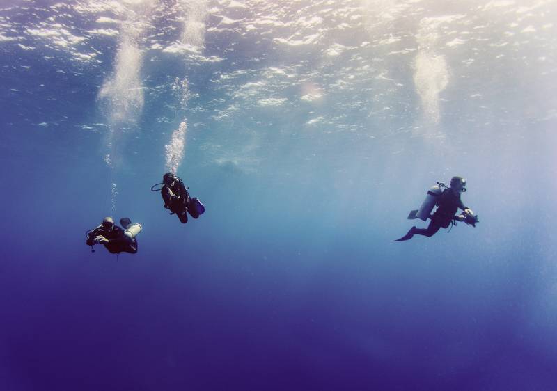 Découvrez les sentiers marins pour une immersion marine inoubliable